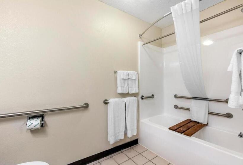 חדר סטנדרט מותאם לאדם עם מוגבלויות, Quality Inn & Suites Metropolis I24