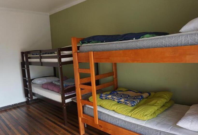تختخواب در اتاق مشترک, Ventana Sur Hostal