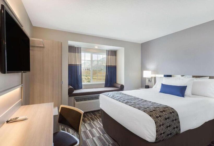 غرفة قياسية لذوى الاحتياجات الخاصة, Microtel Inn & Suites By Wyndham Springville
