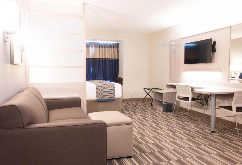 Студия Стандарт, Microtel Inn & Suites By Wyndham Springville