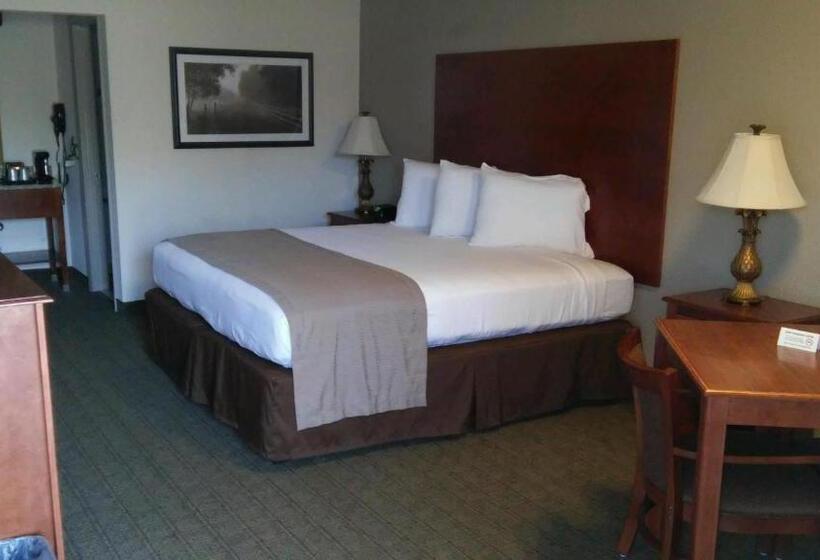 장애인을 위한 킹사이즈 침대 스탠다드 룸, Econo Lodge
