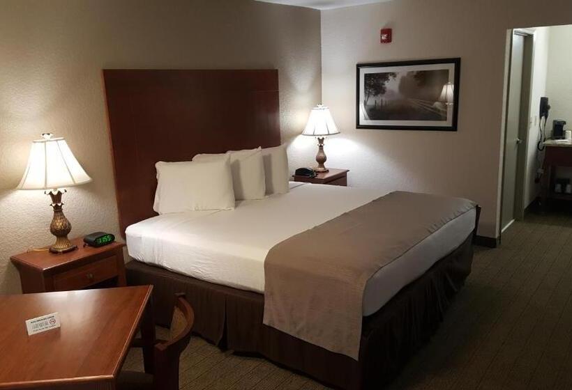 身障者適用キングサイズベッドルーム, Econo Lodge