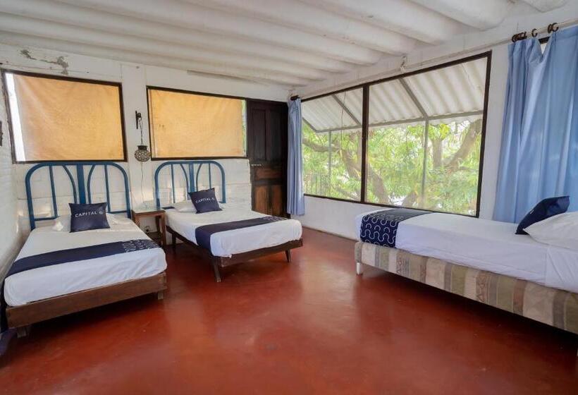 اتاق خانوادگی, Mision Y Spa Acapulco