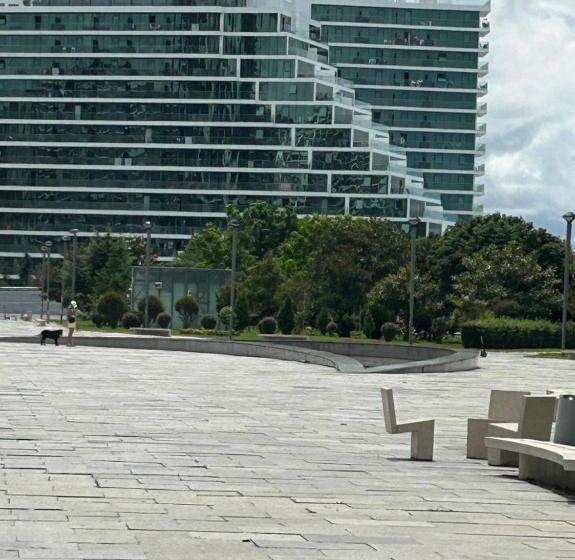 استودیوی استاندارد با چشم‌انداز دریا, Batumiview