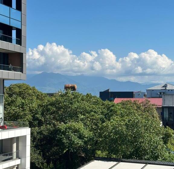 اتاق کلاسیک چهارنفره, Georgia