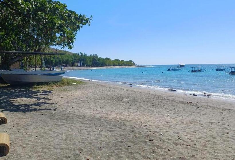 Номер Deluxe, The Beach Bungalows & Turtle Sanctuary