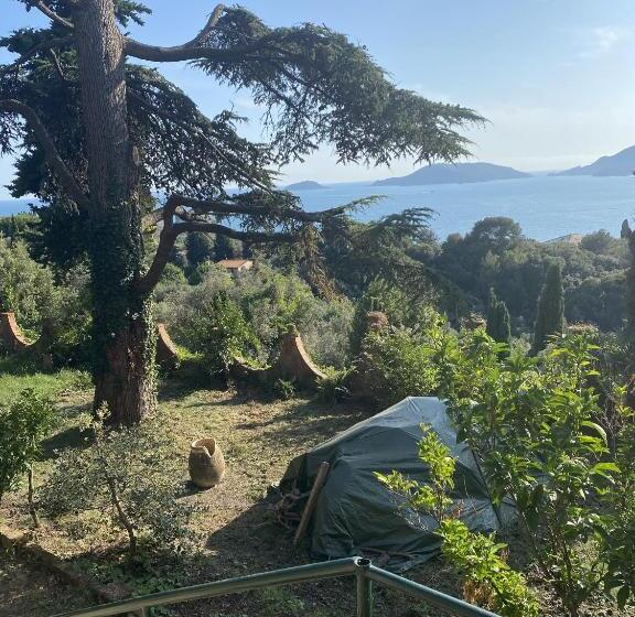آپارتمان سوپریور 2 خوابه, Villa Picedi