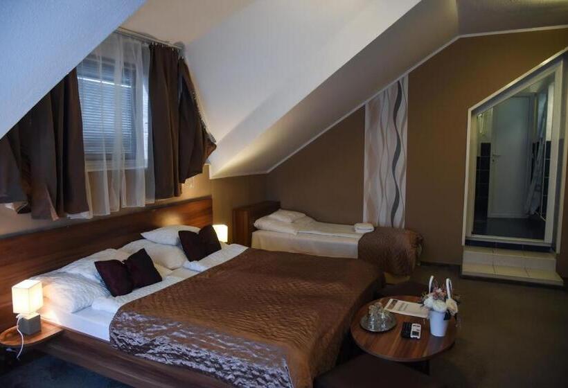 家庭间, Oázis Wellness Panzio