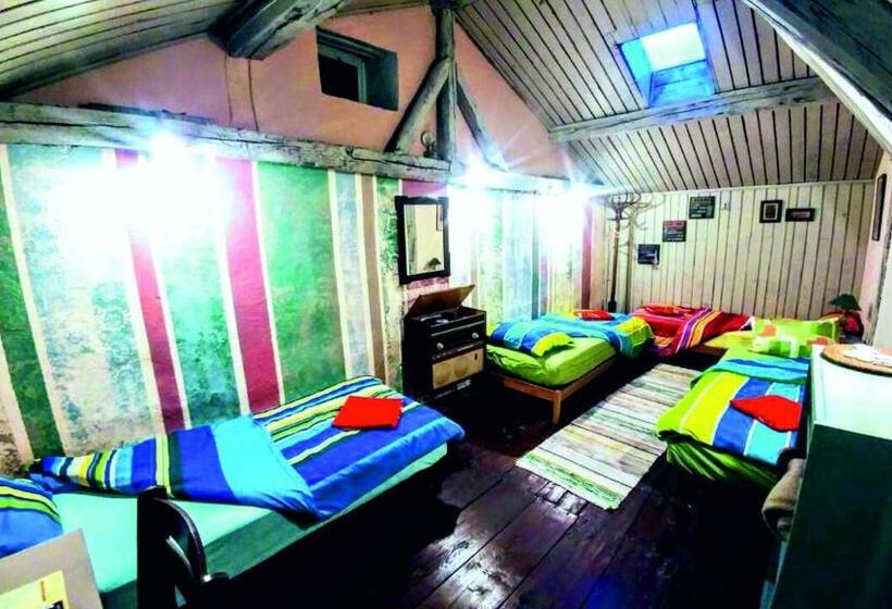 스탠다드 4인용 룸 공용 욕실, Rooster Hostel