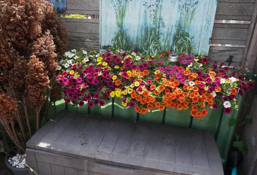 Номер Стандарт с Террасой, Amsterdam Roof Terrace B&b