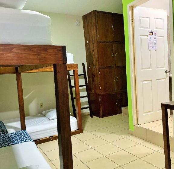 スタンダード４人部屋, Hostal Casa Huasteca