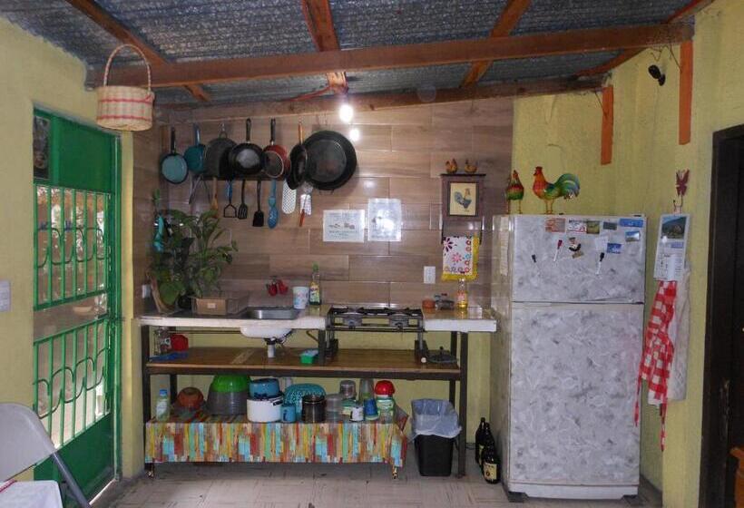 スタンダードルーム, Hostal Casa Huasteca