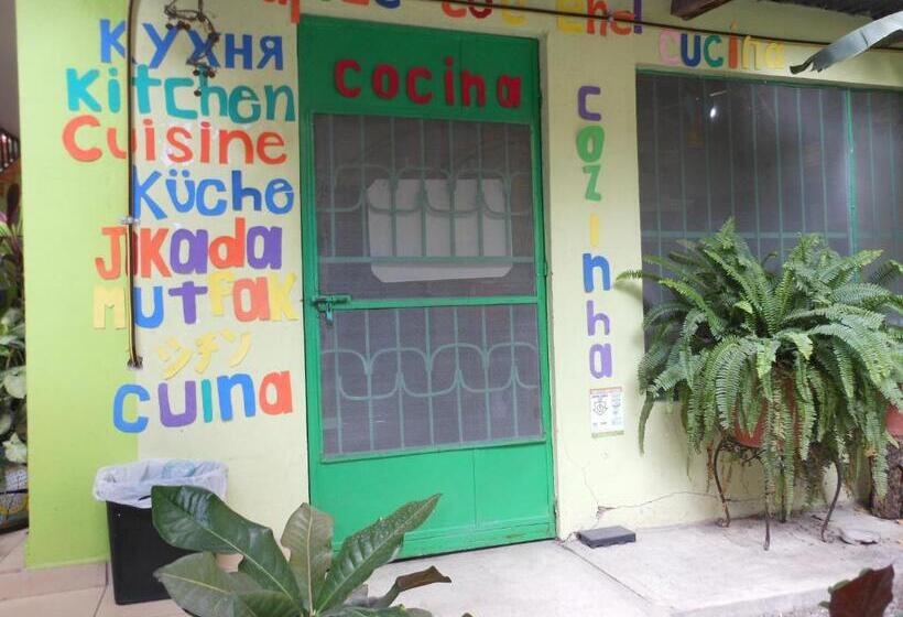 ファミリールーム, Hostal Casa Huasteca