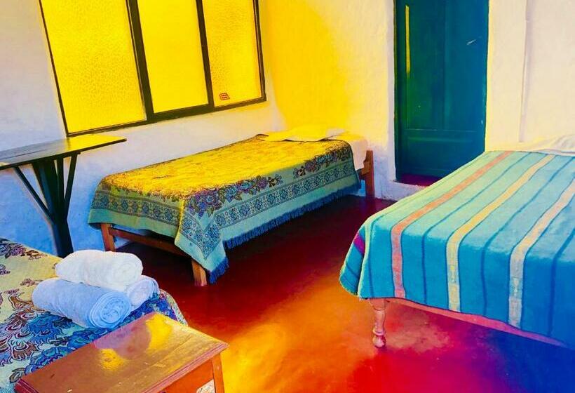 공동 객실, My Friend Surf Hostal
