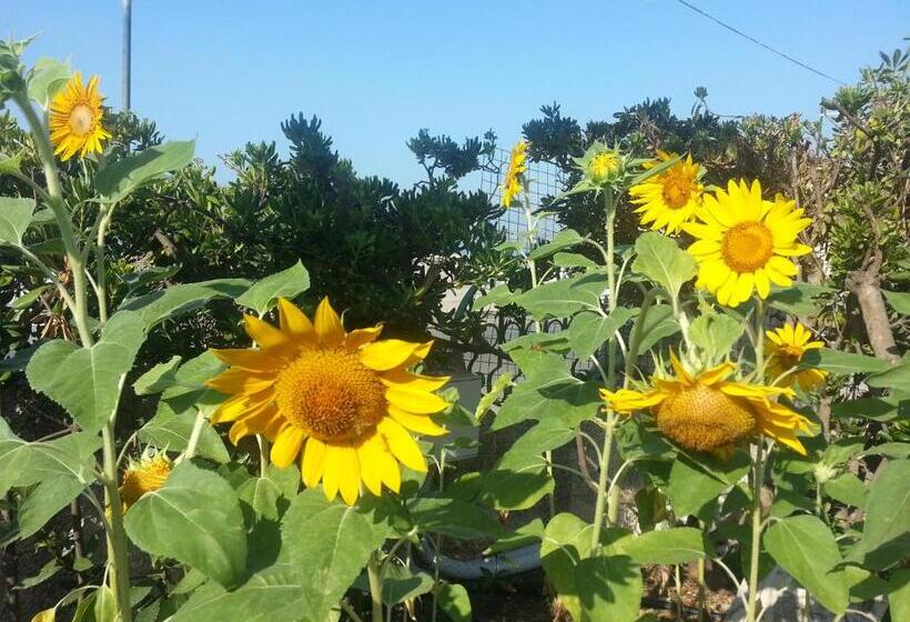 اتاق استاندارد چهار تخته, B&b Il Girasole Formia Guesthouse