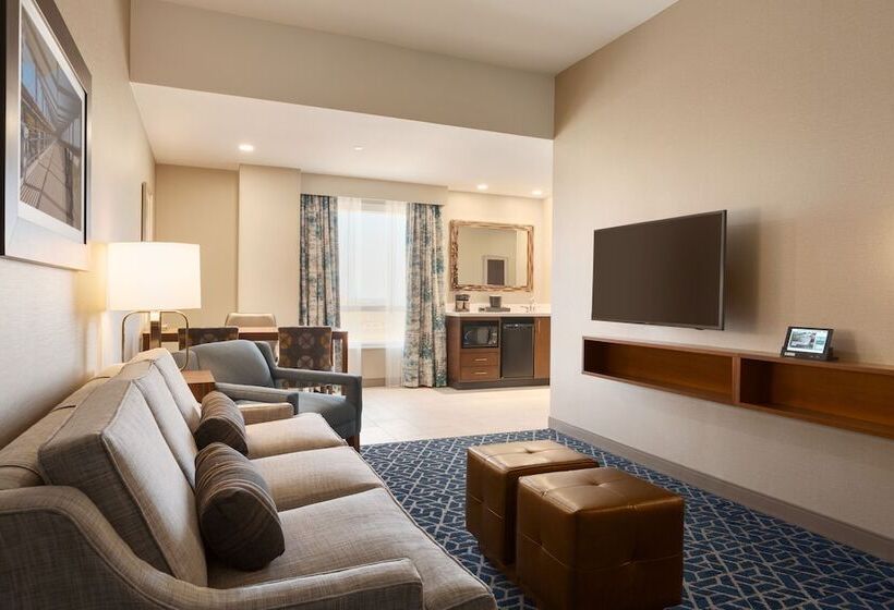 Студия Стандарт Двуспальная Кровать, Embassy Suites By Hilton Denton Convention Center