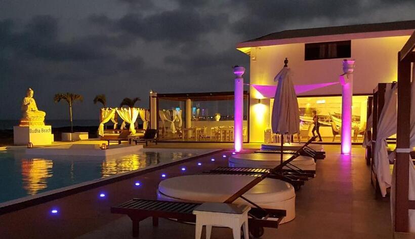 اتاق استاندارد با تراس و چشم‌انداز دریا, Livvo Budha Beach