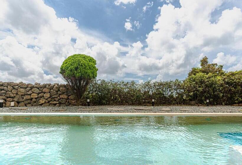 اتاق استاندارد با بالکن و چشم‌انداز دریا, Boutique Pool Villa Namib