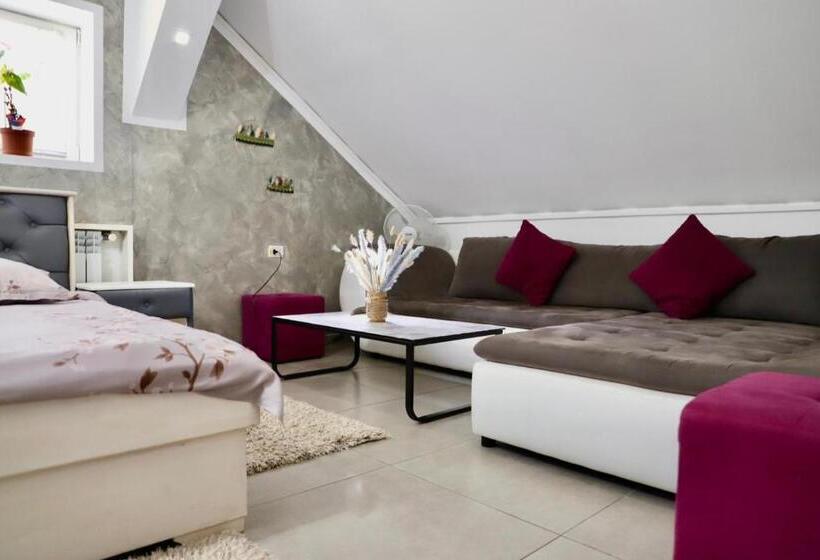 اتاق لوکس, Cazare Moldi   Regim Hotelier