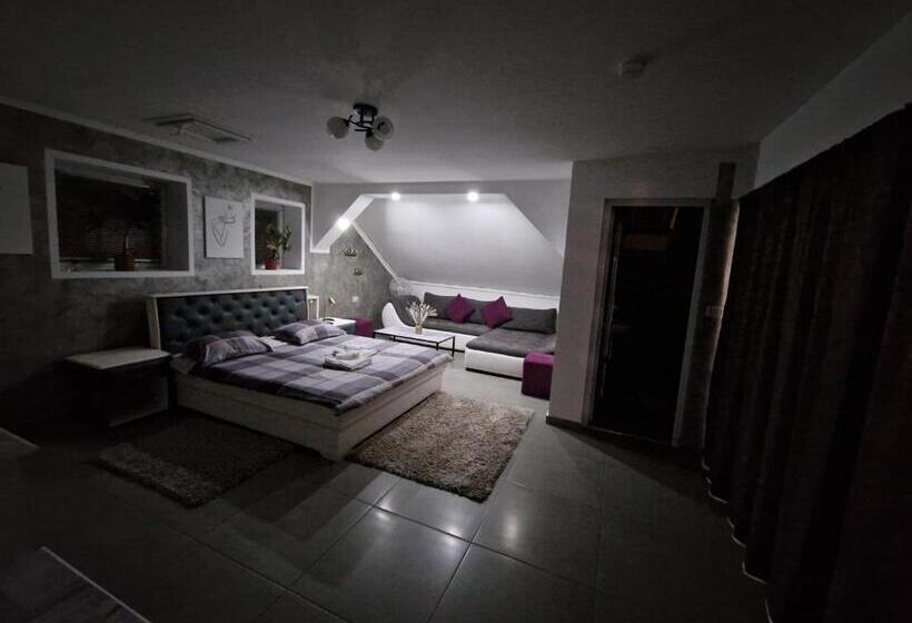اتاق لوکس, Cazare Moldi   Regim Hotelier