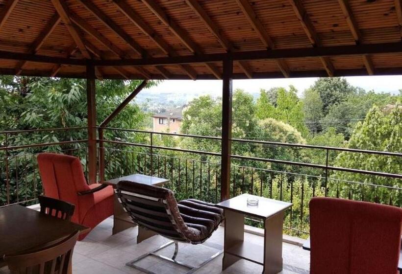 جناح مزود بتراس, Butik Hotel Maşukiye
