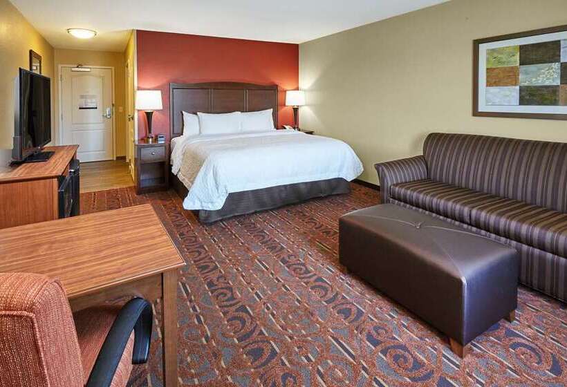 Стандартный Номер Кровать Кинг, Hampton Inn Livonia Detroit