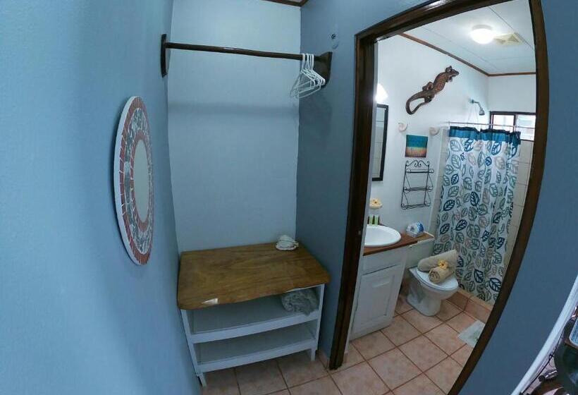 اتاق استاندارد با چشم‌انداز استخر, Perico Azul & Surf Camp