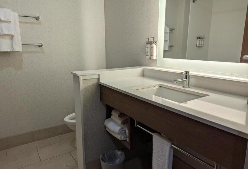 Номер Стандарт Кровать Кинг Адаптированный для Инвалидов, Holiday Inn Express   Lexington East   Winchester, An Ihg