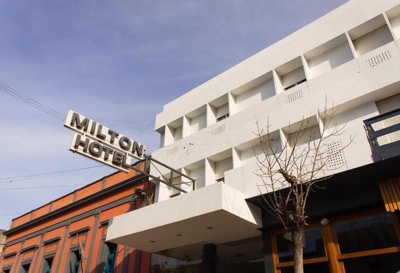 스탠다드 룸, Milton