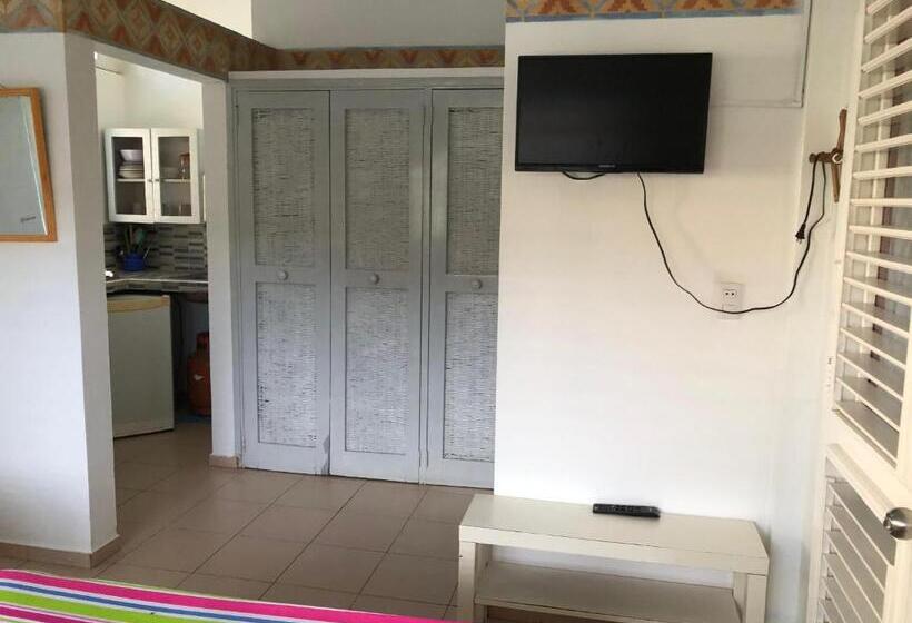 استودیو استاندارد با چشم‌انداز باغ, Casa Robinson