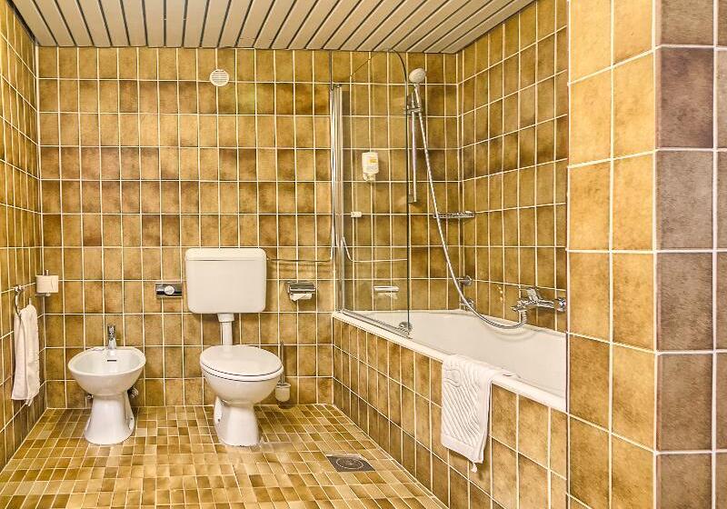 스탠다드 룸 바다 전망, Brijuni Hotel Istra