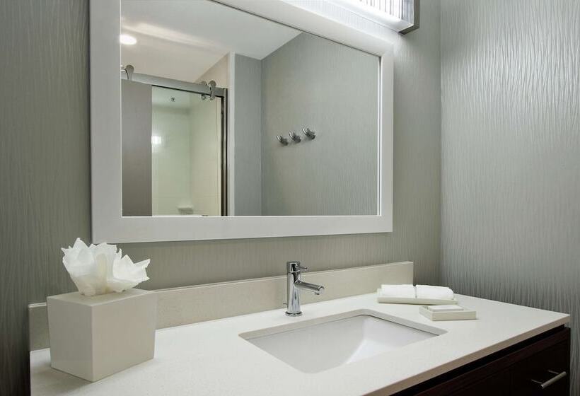 Suite, Home2 Suites By Hilton Mobile I65 Government Boulevard