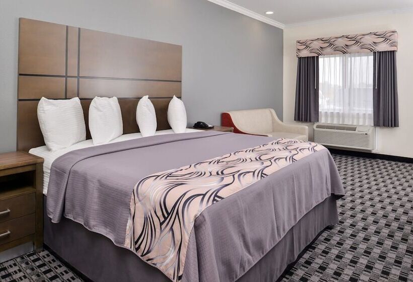 エコノミーシングルルーム, Americas Inn & Suites Iah North
