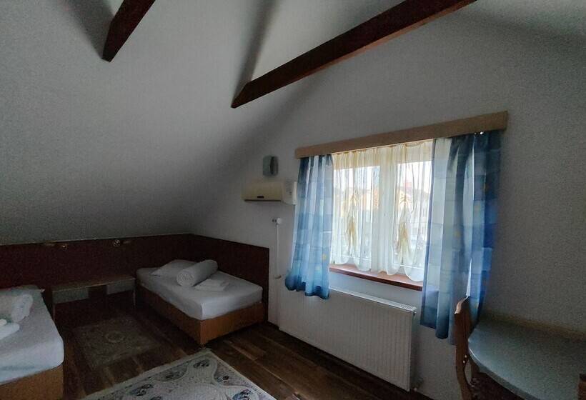 Номер Стандарт, Pensiunea Buon Gusto Sibiu Motorcyle Friendly,city Center
