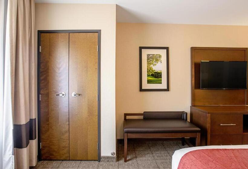 Номер Стандарт, Comfort Suites Fishkill Near Interstate 84
