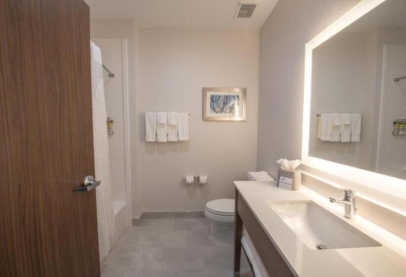 适合残疾人士使用的带超级大床的标准间, Holiday Inn Express & Suites   Houston Westchase   Westheimer, An Ihg