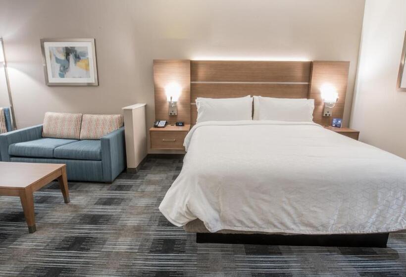 适合残疾人士使用的套间, Holiday Inn Express & Suites   Houston Westchase   Westheimer, An Ihg