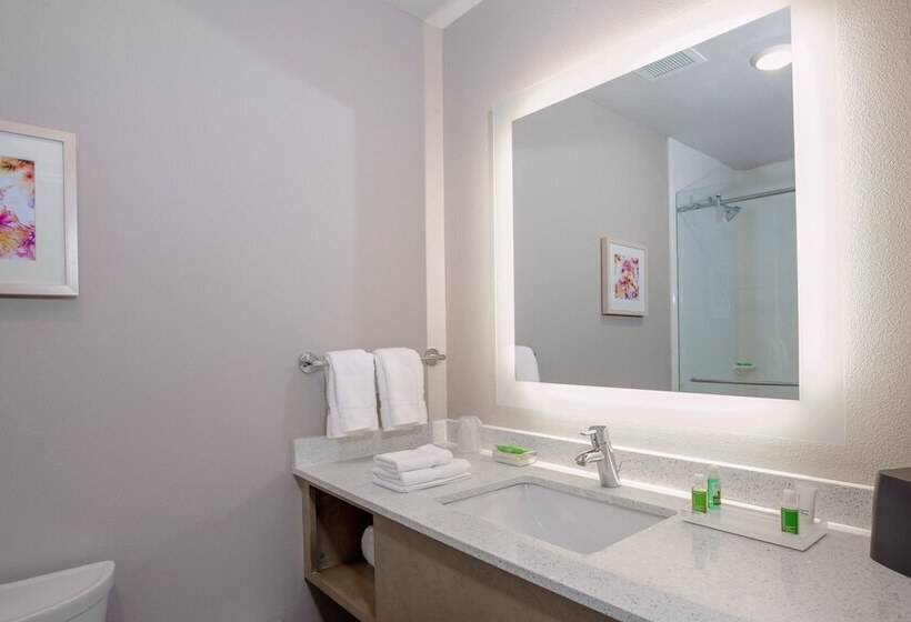 标准间, Holiday Inn   Tallahassee E Capitol   Univ, An Ihg