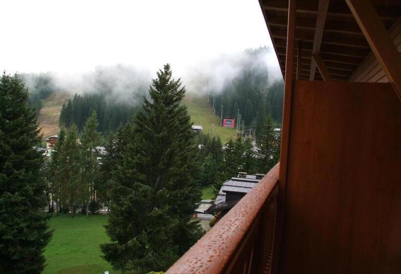 اتاق خانوادگی, Erika