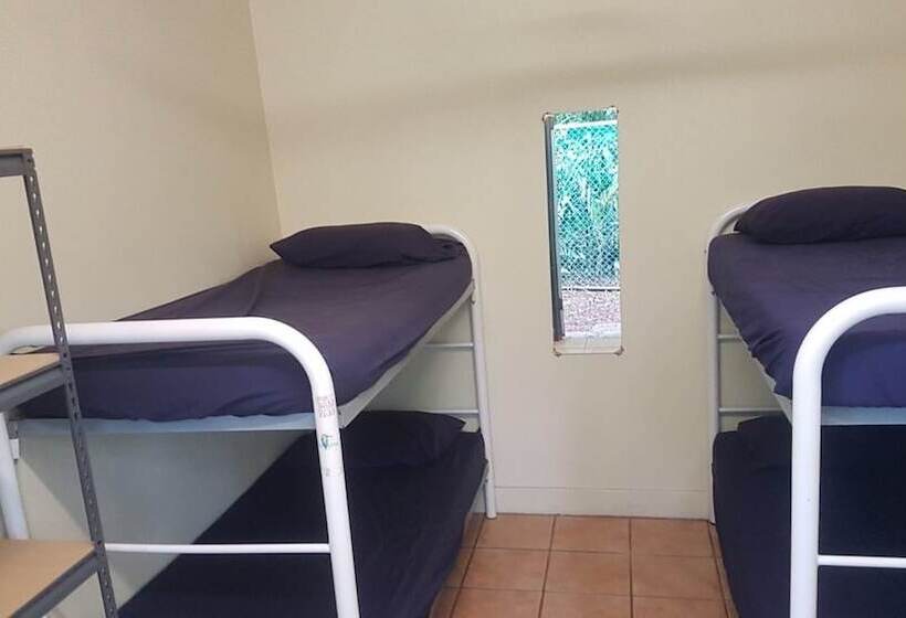 تختخواب در اتاق مشترک, Darwin Hostel