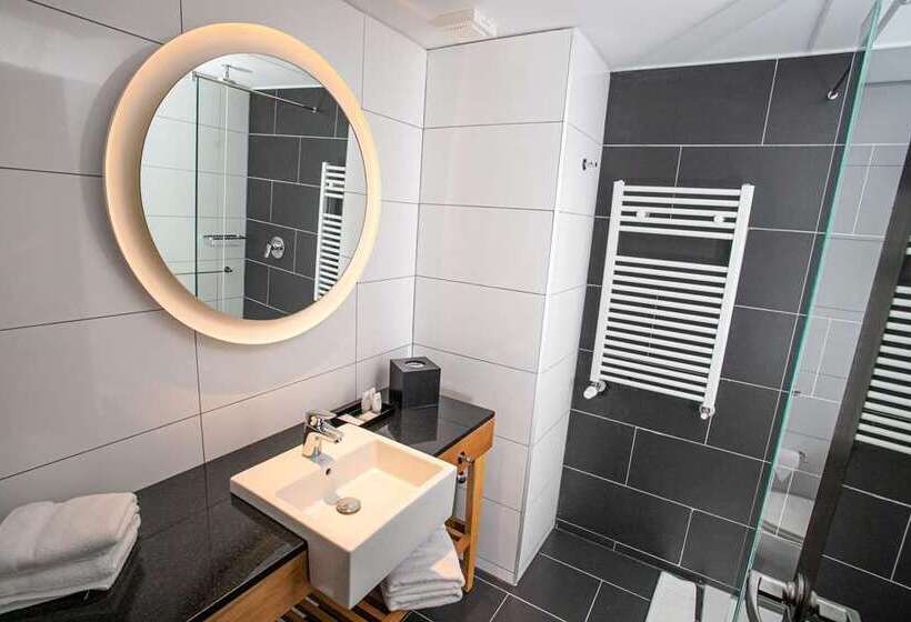 اتاق استاندارد با چشم‌انداز دریاچه, Hampton Inn San Luis Potosi