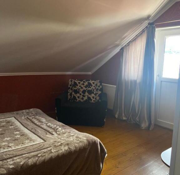 Quarto Economy, Amadeus