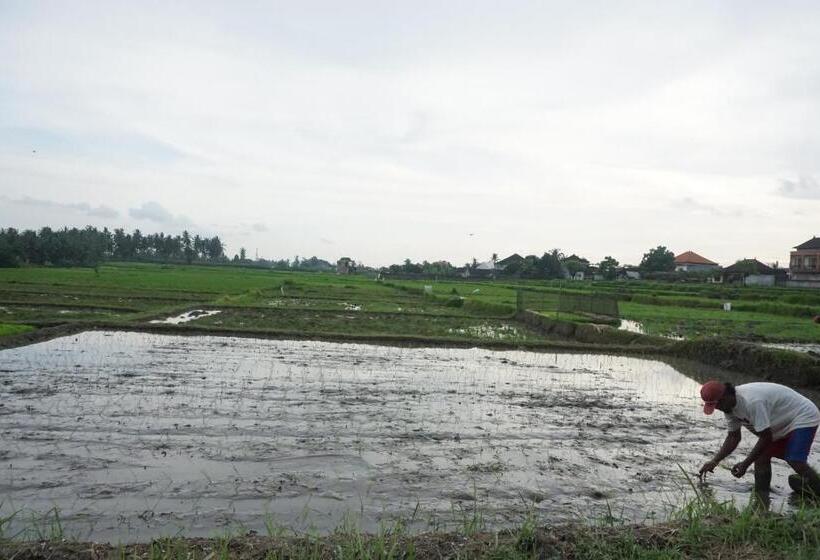 디럭스 스위트, Pondok Uma Ubud