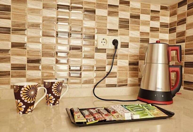 1 Yatak Odalı Daire, Bursa Suites Apart Otel