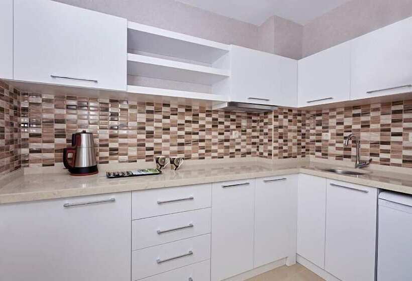 1 Yatak Odalı Daire, Bursa Suites Apart Otel