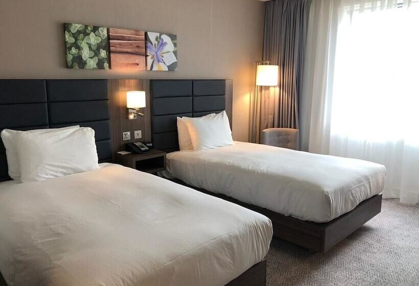 디럭스 룸, Hilton Garden Inn Birmingham Airport