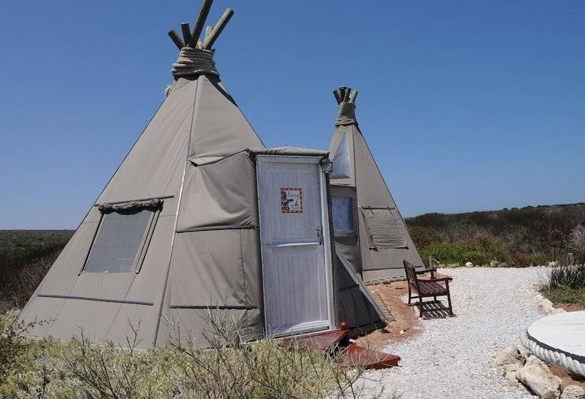 Standard Tent, Farr Out Guesthouse
