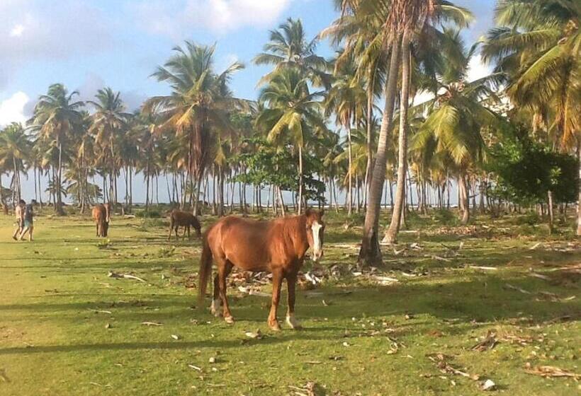 آپارتمان 1 خوابه, Villa La Caleta