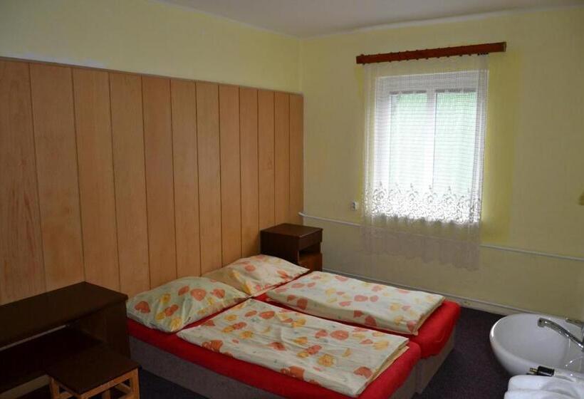 Ortak Banyolu Standart Oda, Hostel Fortuna