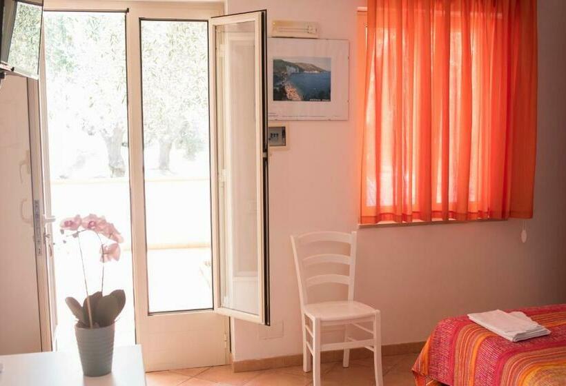 Студия Стандарт, Camping Apartment Vignanotica